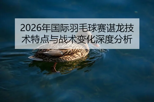 2026年国际羽毛球赛谌龙技术特点与战术变化深度分析