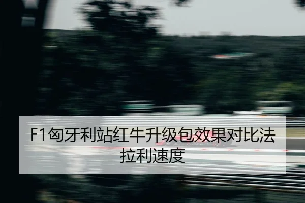 xiong-ya-li-zhan-hong-niu-sheng-ji-bao-xiao-guo-dui-bi-fa-la-li-su-du-2-401.jpg